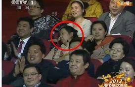 最新春晚爆料视频,最新爆料视频带你领略精彩瞬间